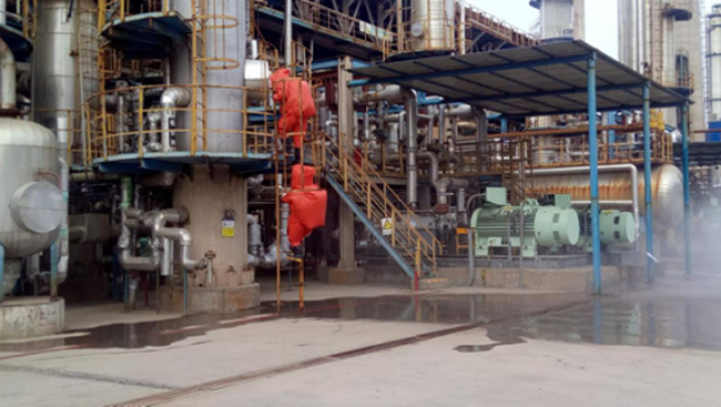 d0a9f557c05a46c8bdc95010238b3129