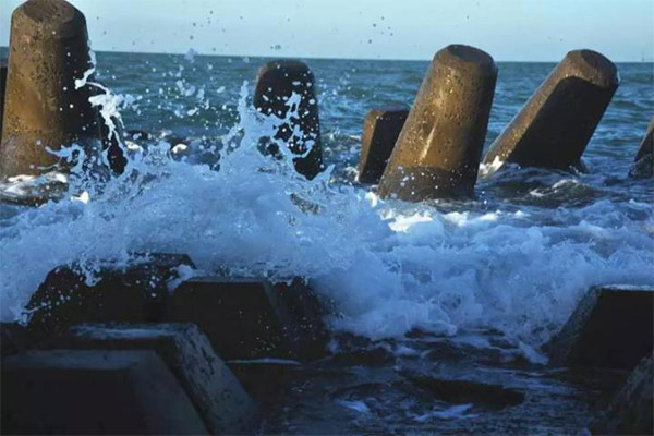 8e16bdc0c28348b8835a5e5c94ab4387