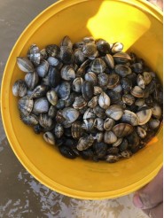 c9f6e932c39b4a2fbd6767fa4d22fa69