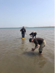 debb77208b70461a9d87df9a02ae397e