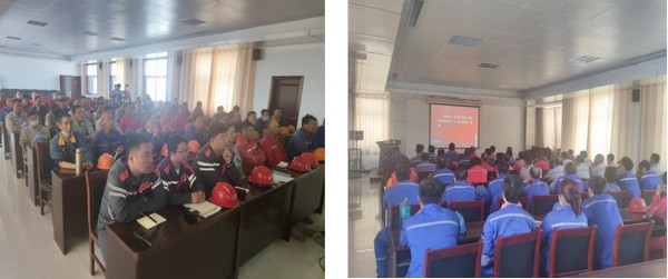 8b77a8c46e344639b637b5e6f9ebb494